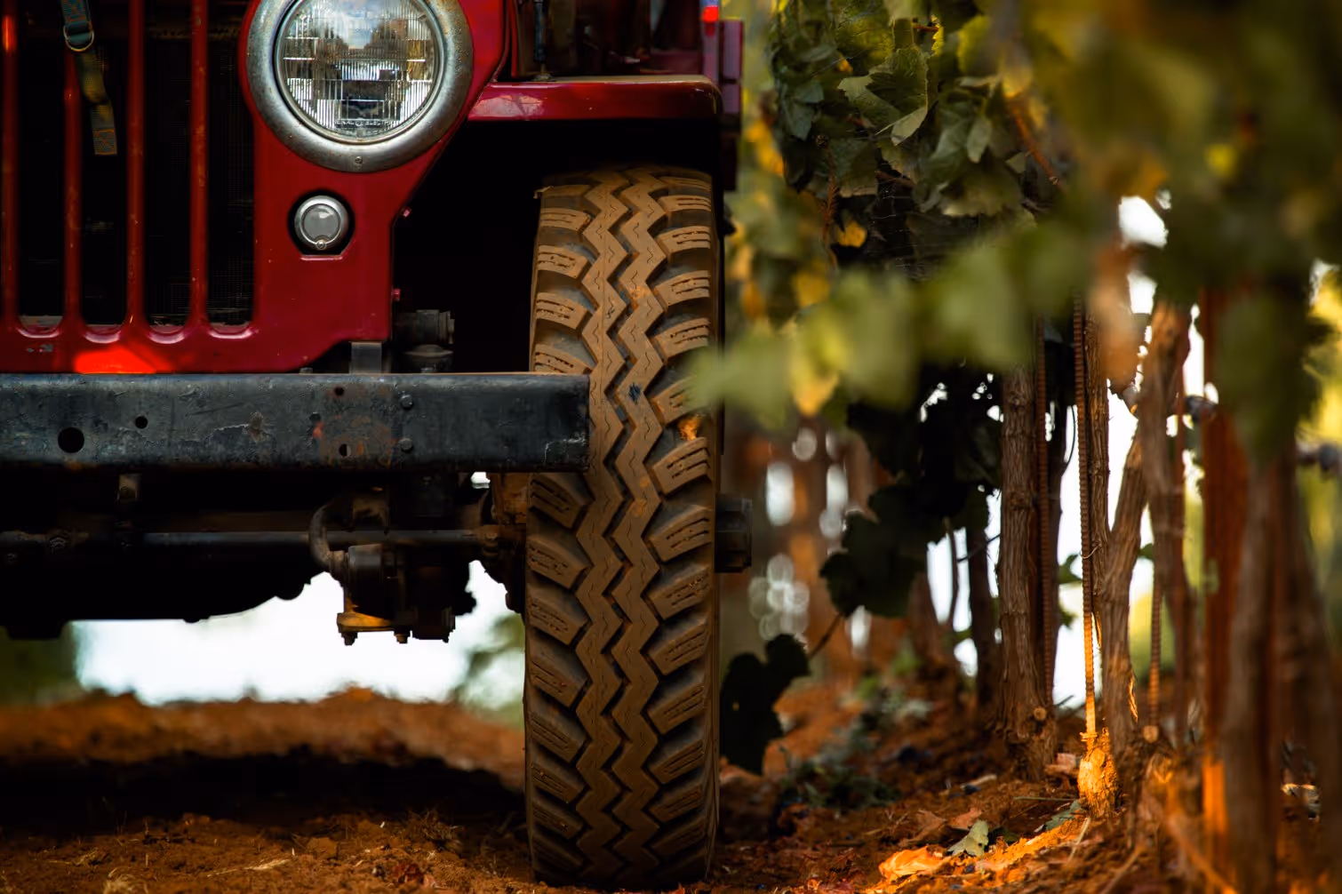 Front view of a red off-road vehicle tire on a dirt path next to green leafy plants.