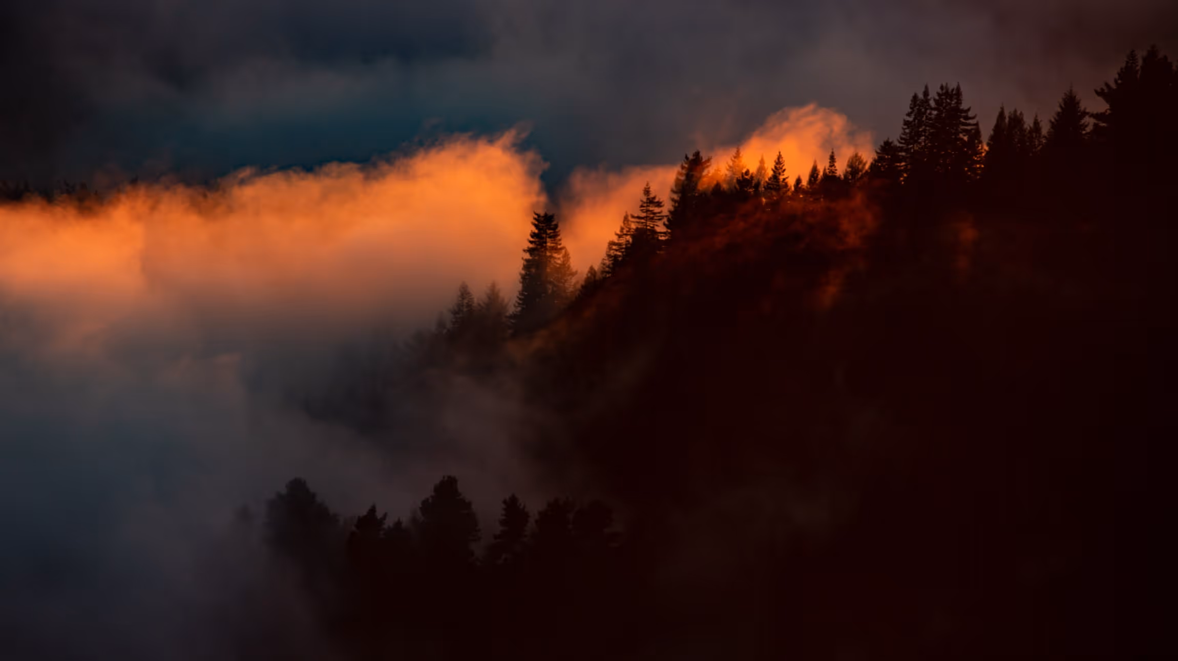 Silhouetted pine trees on a mountain with orange clouds glowing at sunset or sunrise.