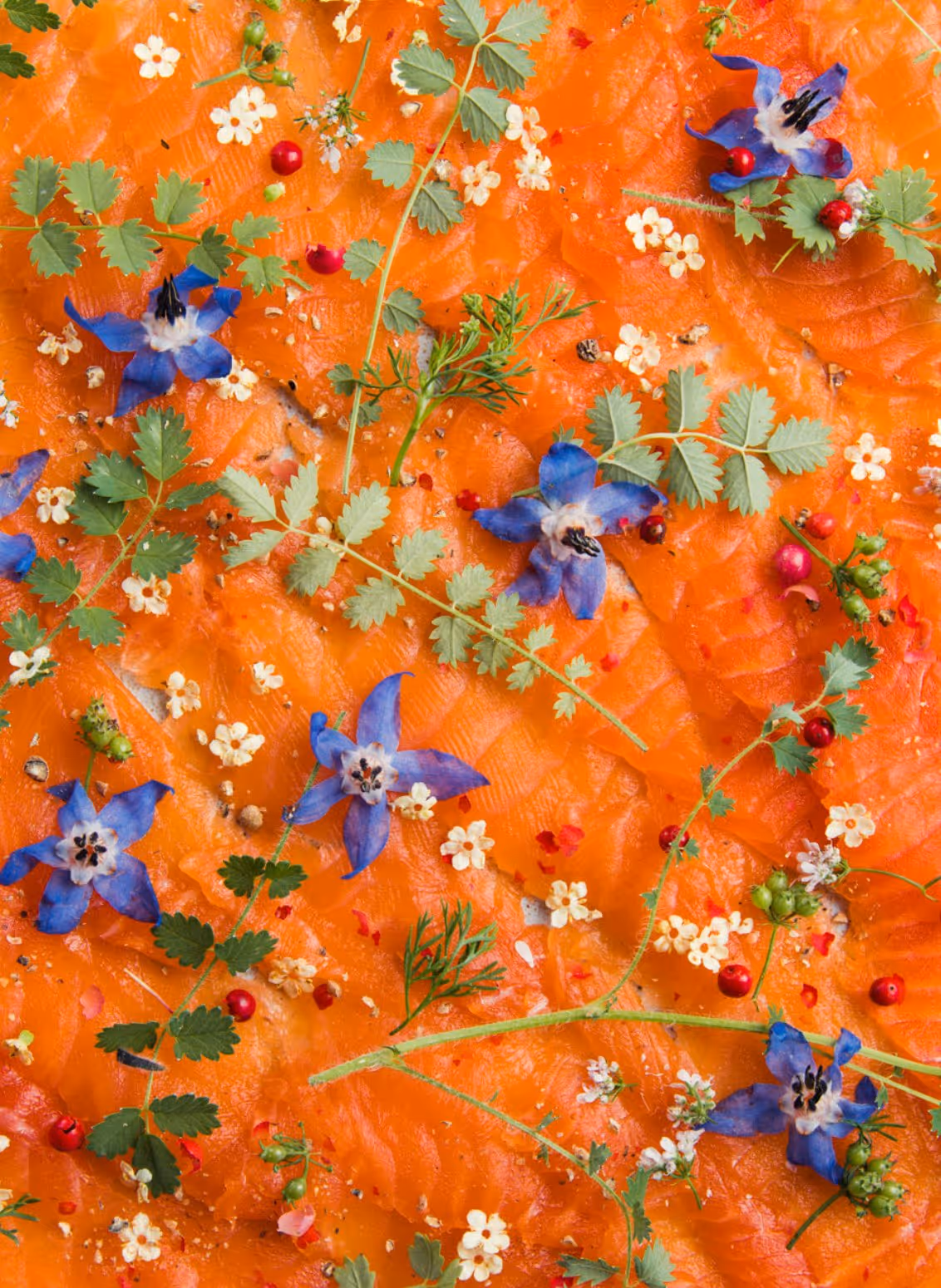 Thinly sliced orange salmon topped with small green herbs, blue edible flowers, white blossoms, and pink peppercorns.