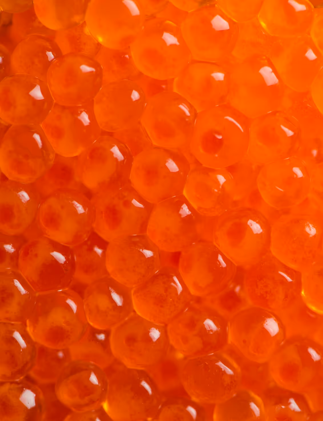 Close-up of glossy, translucent orange salmon roe tightly packed together.