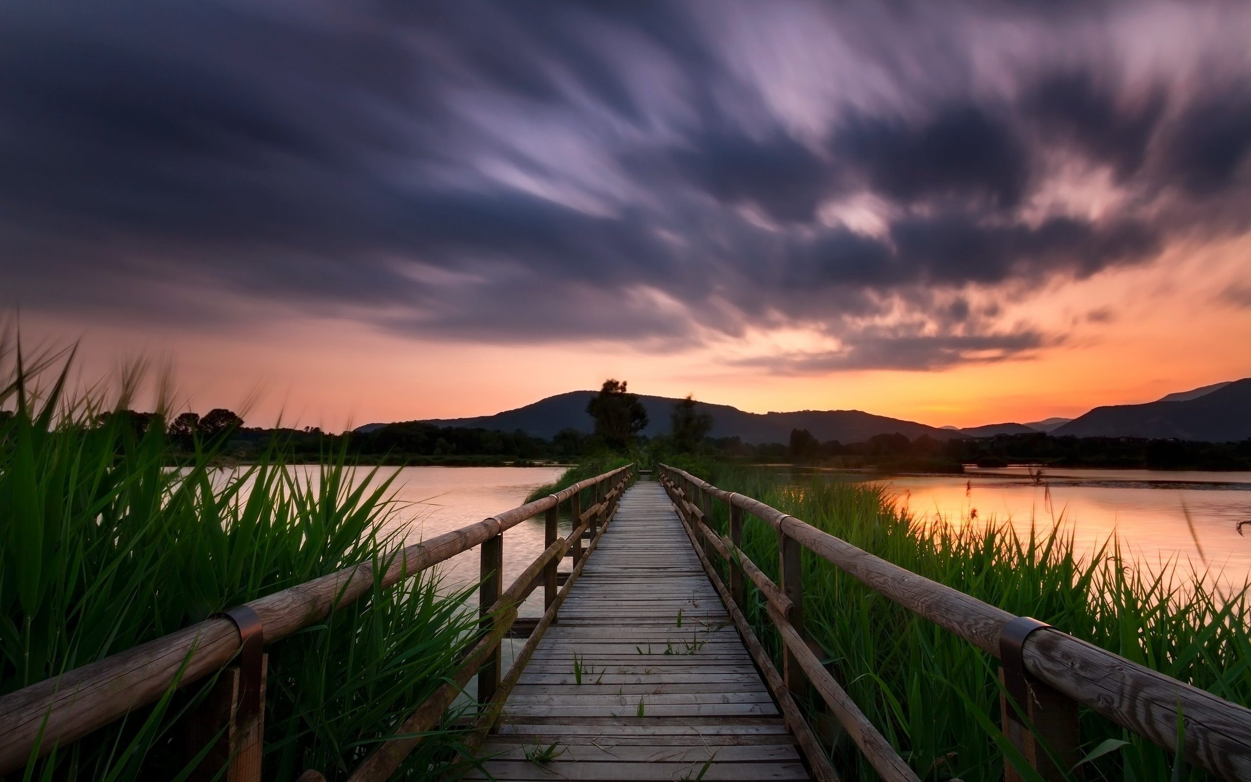 Free Nature Stock