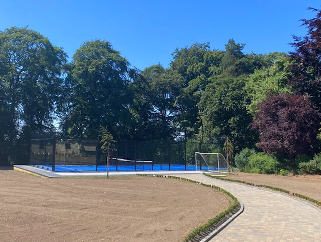Royal blue turf court in a private residence