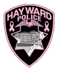 Hayward Police patch with pink ribbons and building illustration in a star shape.