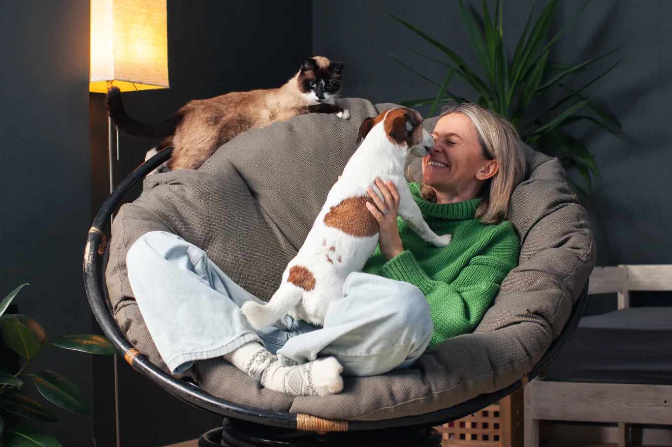 woman with dog stock image