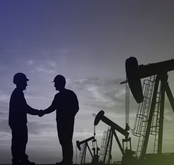 Energy Domain for Mineral & Royalty Owners