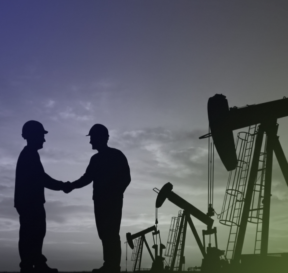 Energy Domain for Mineral & Royalty Owners