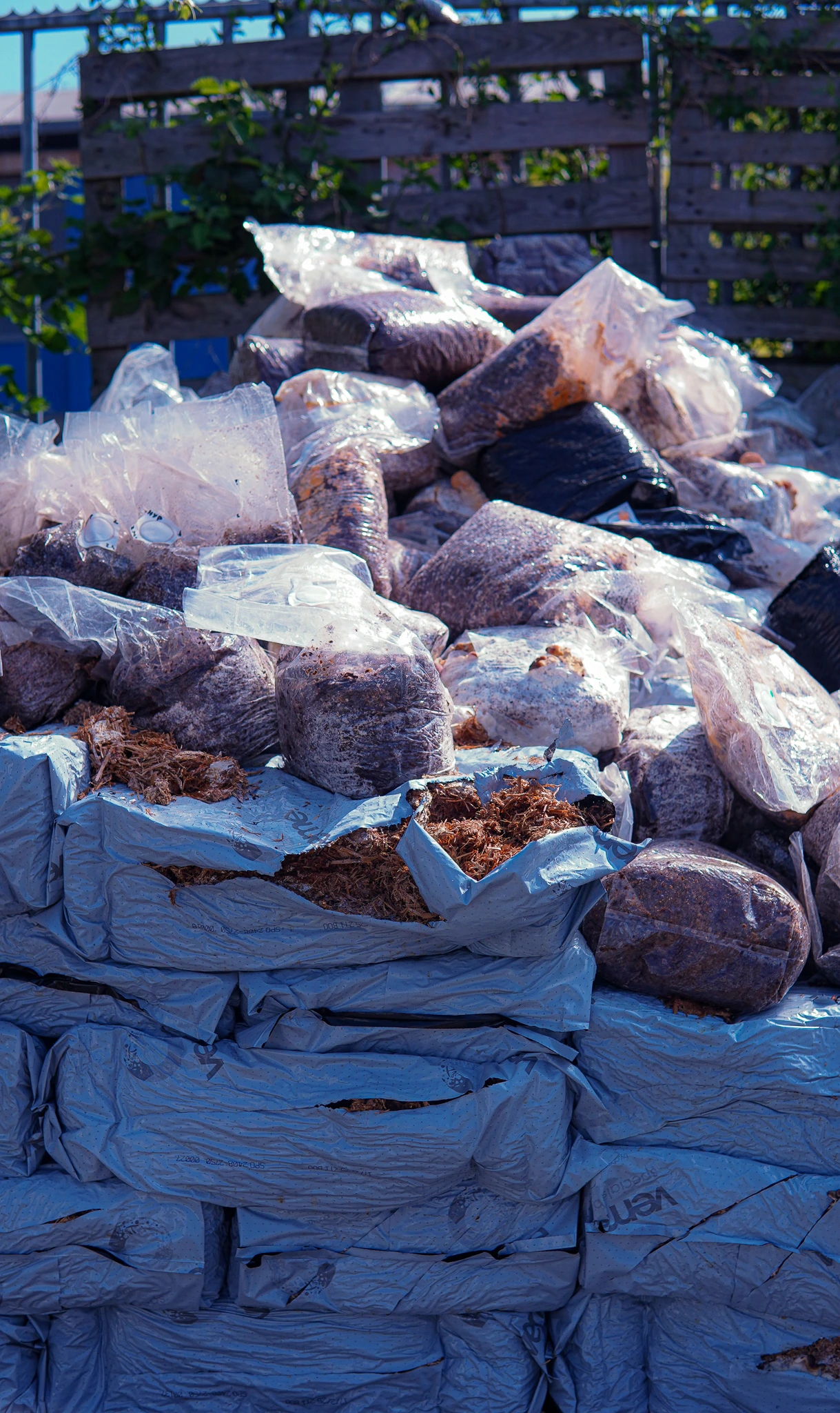 Stack of plastic bags filled with used substrate