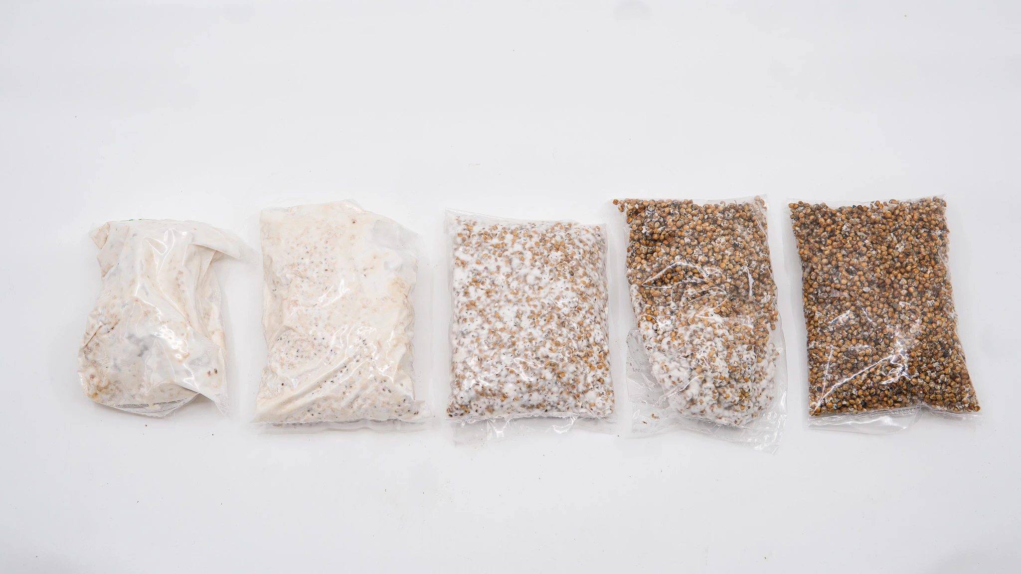 Five different bags of spawn