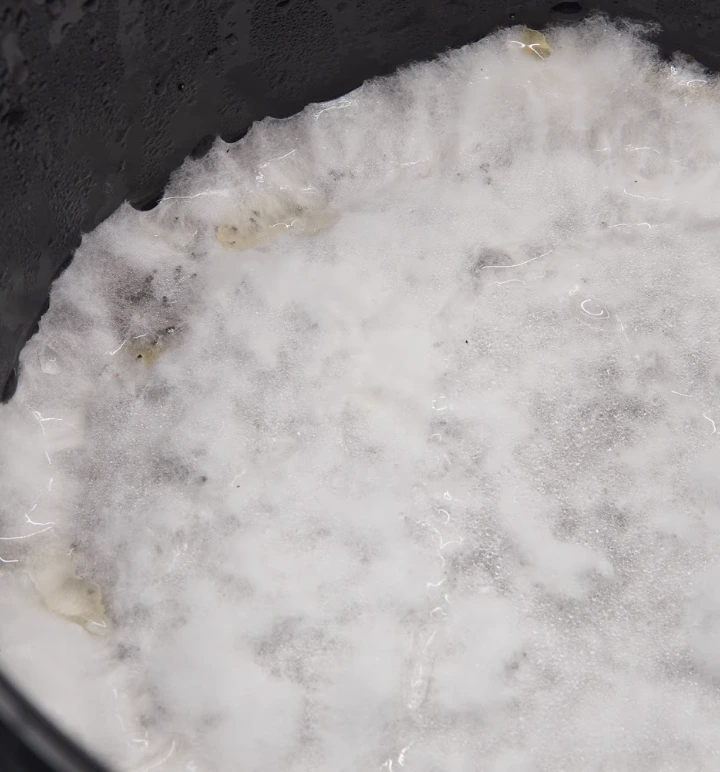 Close-up of white, fluffy mycelium growth in the growkit, indicating healthy fungi development.