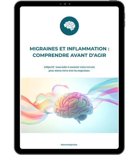 image qui représente un guide gratuit sur le lien entre l'inflammation et les migraines