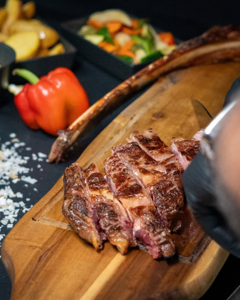 Skqutz logo with stylized tree and lettering.