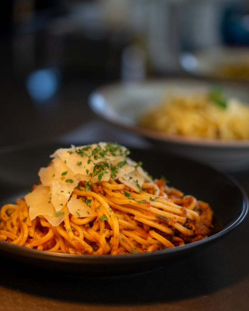 Skqutz logo with stylized tree and lettering.