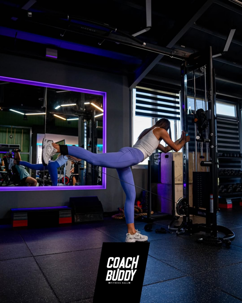 Skqutz logo with stylized tree and lettering.