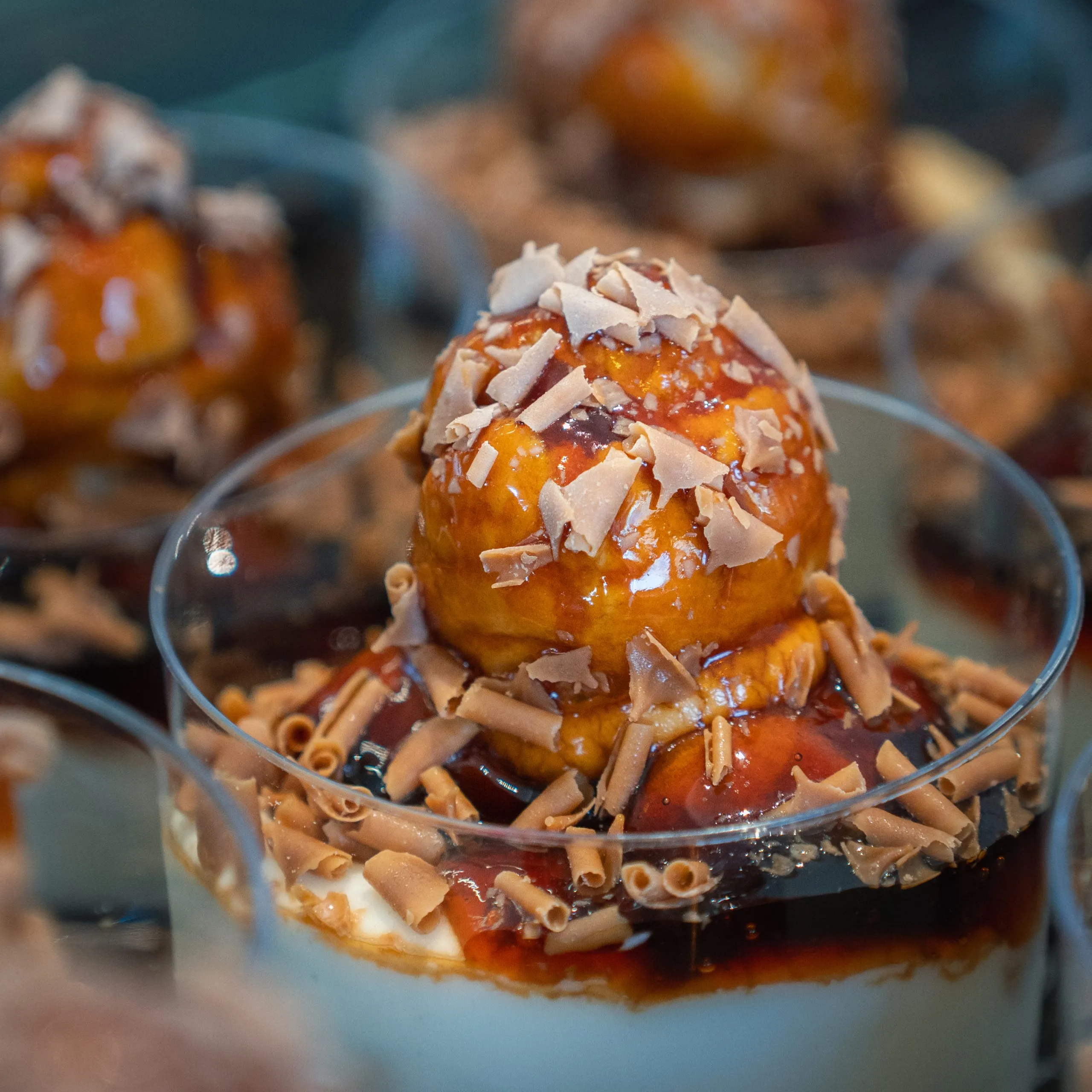 Skqutz logo with stylized tree and lettering.