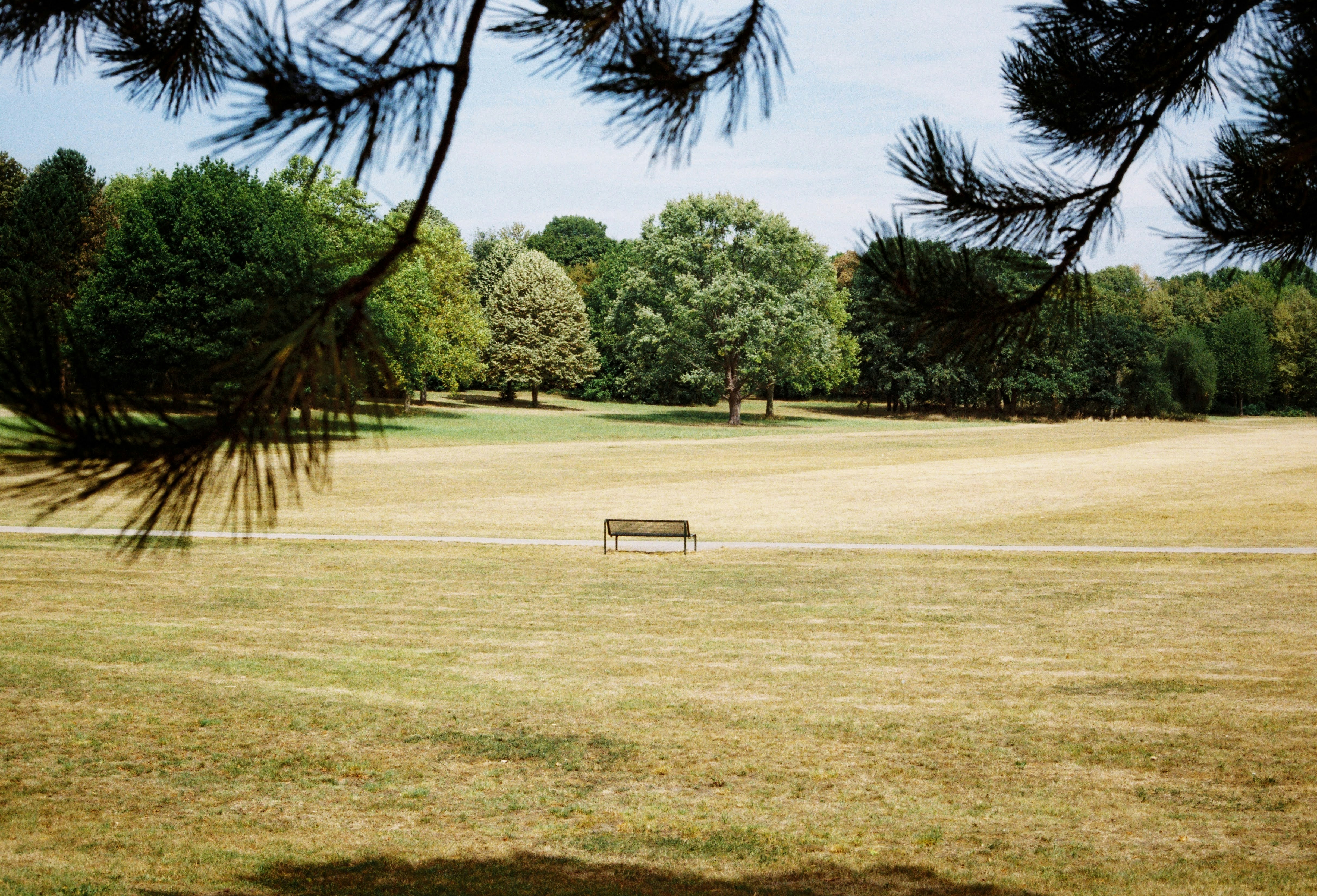 Hot, dry park on a summer's day