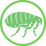 Fleas