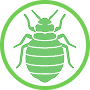 Bed Bugs