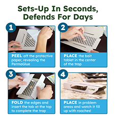 Vamoose! product image 3