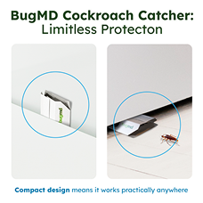 Vamoose! product image 7