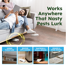 Vamoose! product image 2