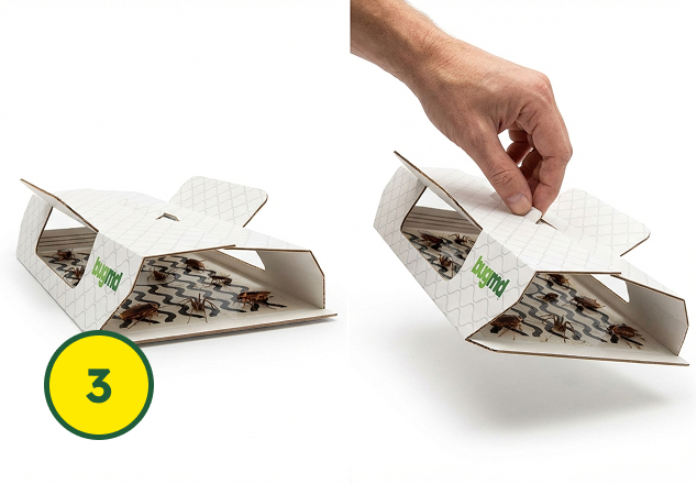 Step 3 – Trap & Replace