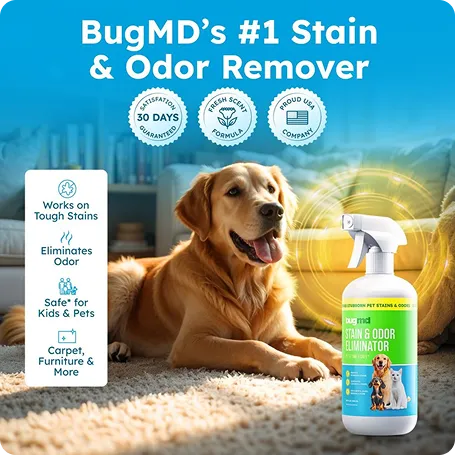 Stain & Odor Eliminator image 2