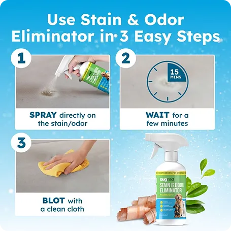 Stain & Odor Eliminator image 4