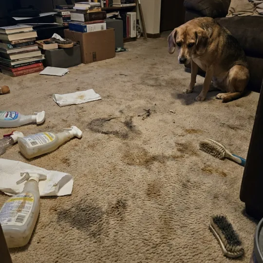 Stubborn stains without BugMD SOE