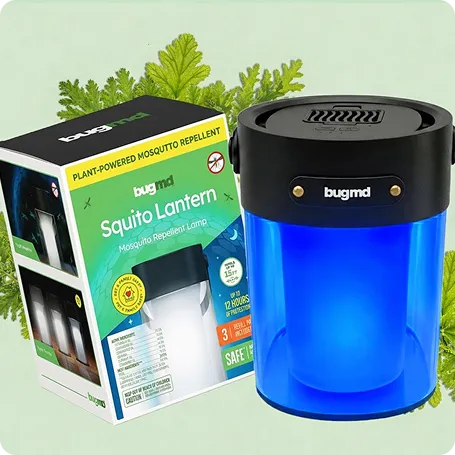 Squito Lantern image 6