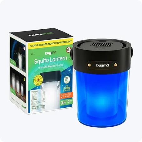Squito Lantern image 3