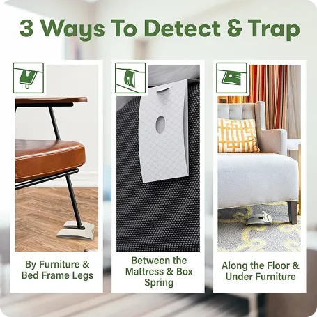 Squito Lantern image 5