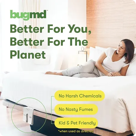 Squito Lantern image 4