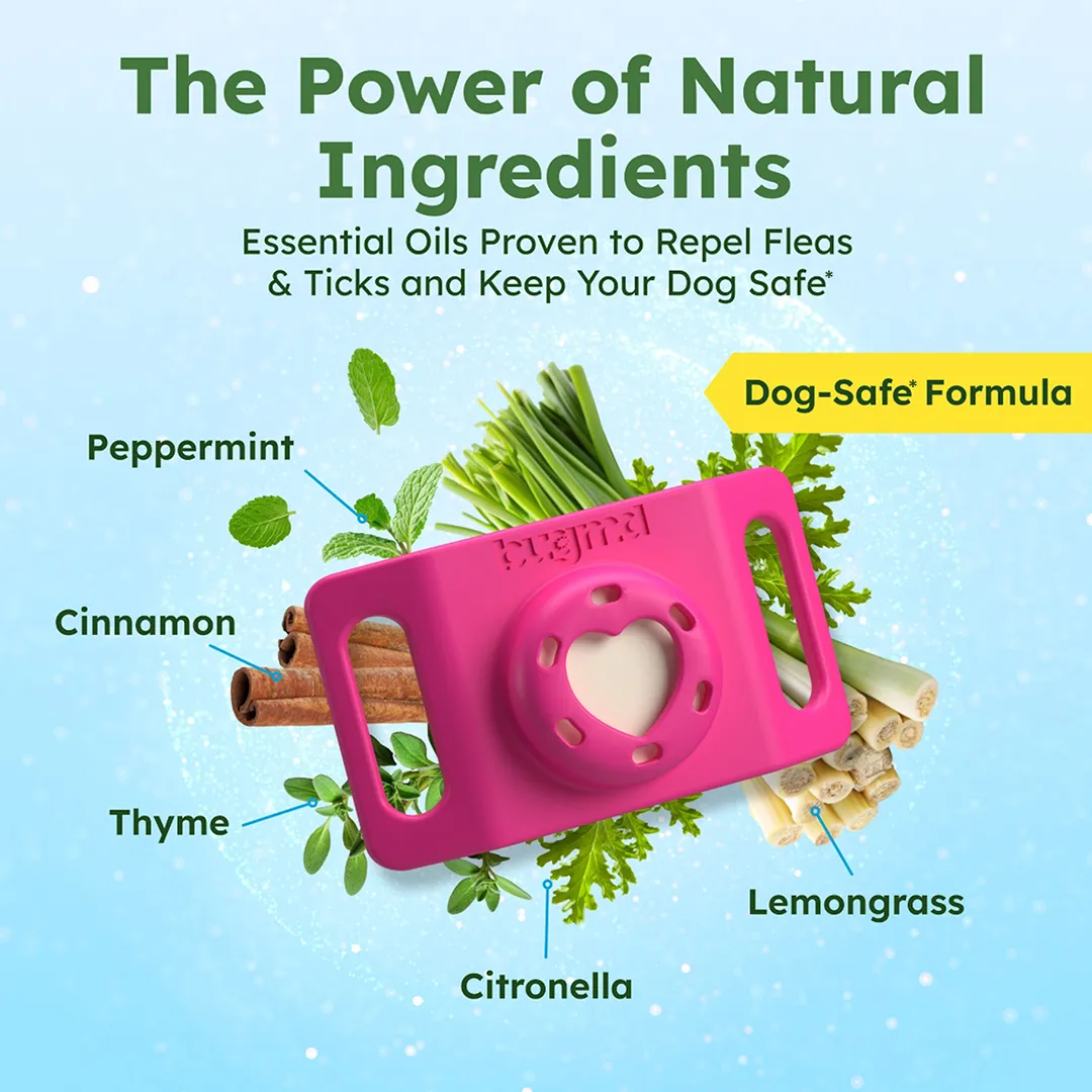 Paw Guardian product image 1