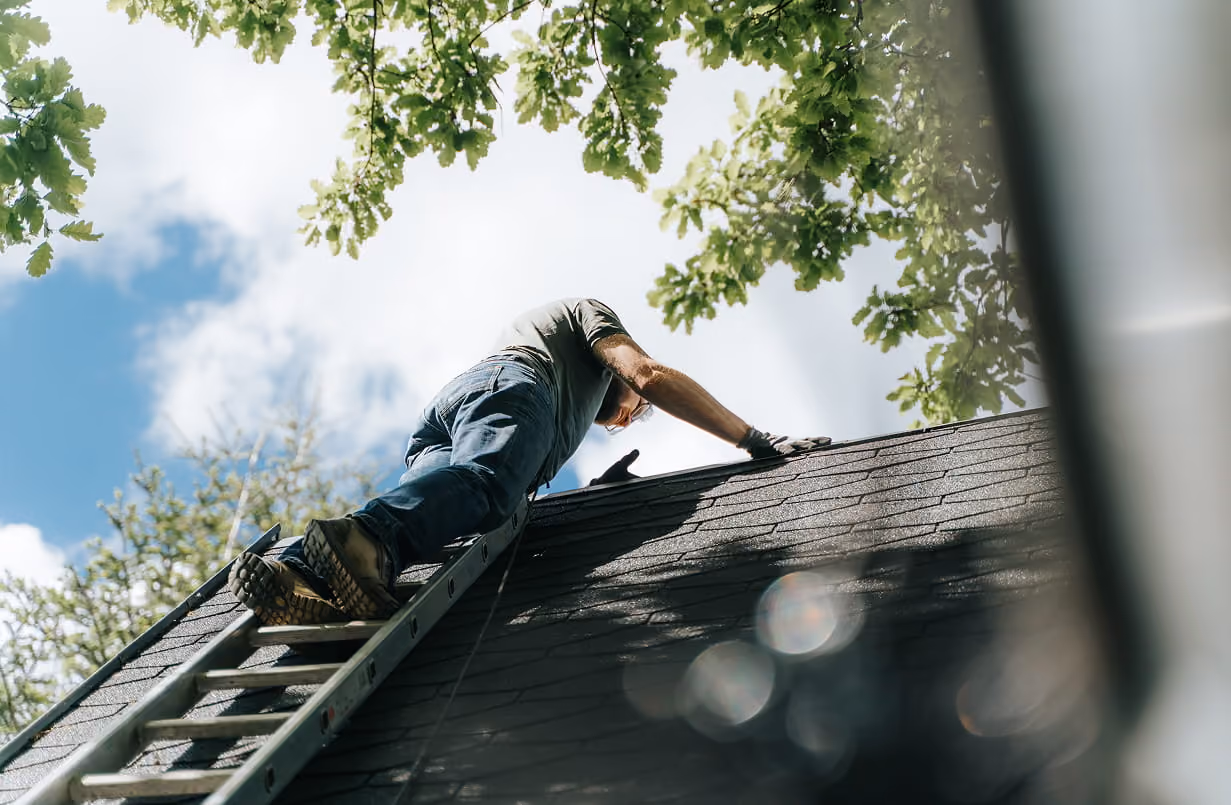 Man climbing a ladder to work on a rooftop under a blue sky with leafy branches above.