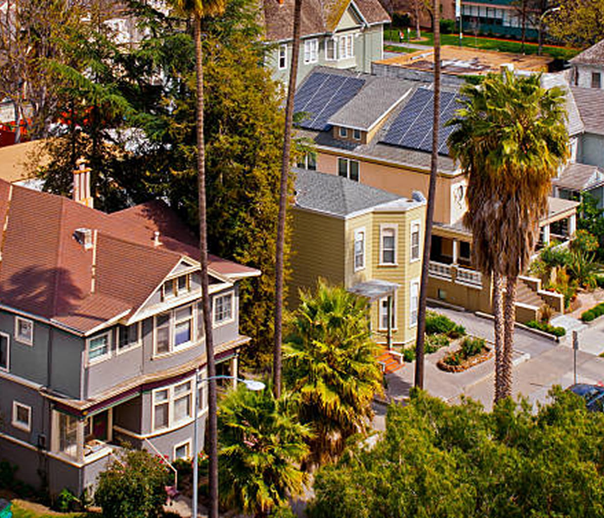 Aerial view of colorful residential houses with tall palm trees and green foliage in a neighborhood.