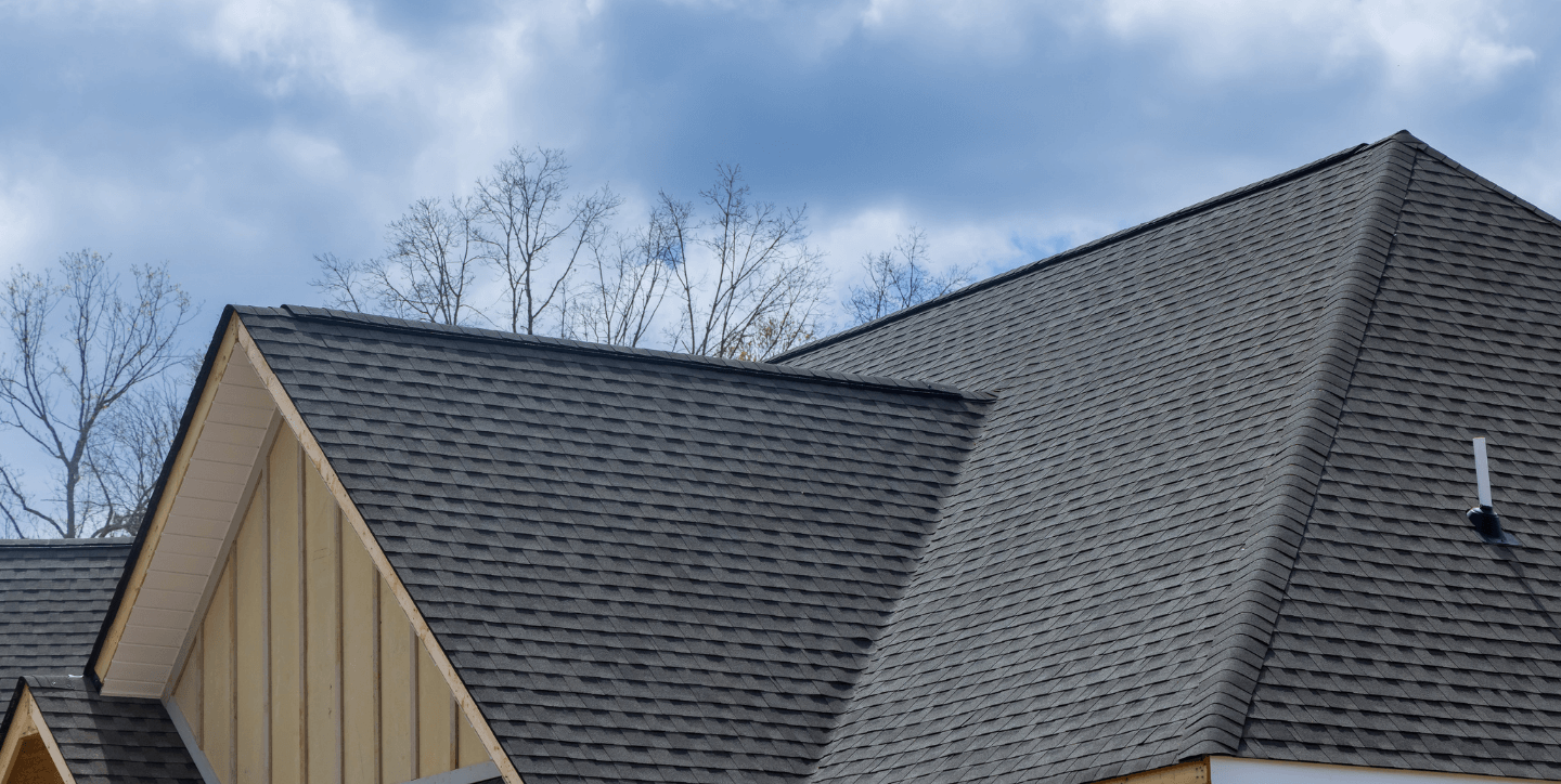 Close-up of a house roof with dark gray asphalt shingles under a cloudy sky and leafless trees in the background.