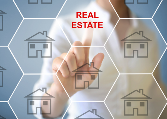 Stay up to date with the latest market insights, trends, and data for Northern Nevada and the Lake Tahoe region. In this section, we break down local market movements, economic developments, and industry trends that impact residents, businesses, and investors throughout the region. From housing and real estate trends to regional economic updates, these insights provide clear analysis and practical information to help you better understand the evolving market landscape in Northern Nevada and Lake Tahoe. Whether you're a homeowner, investor, business owner, or simply interested in the local economy, our market insights help you make informed decisions with timely and relevant information.