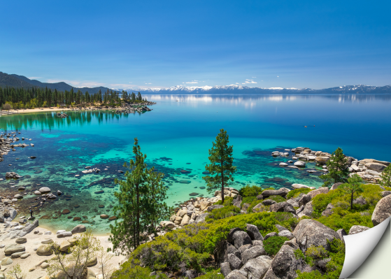 Lake Tahoe Market Insights: Trends, Prices and Buyer Guide