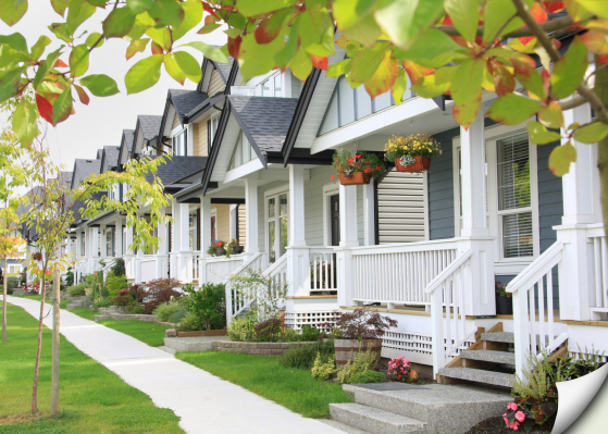Clean and well-maintained Carson City neighborhood showing benefits of HOA management