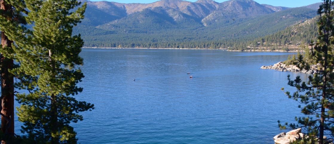 Serene view of Lake Tahoe's crystal waters, surrounded by evergreen trees and majestic mountains under a clear sky