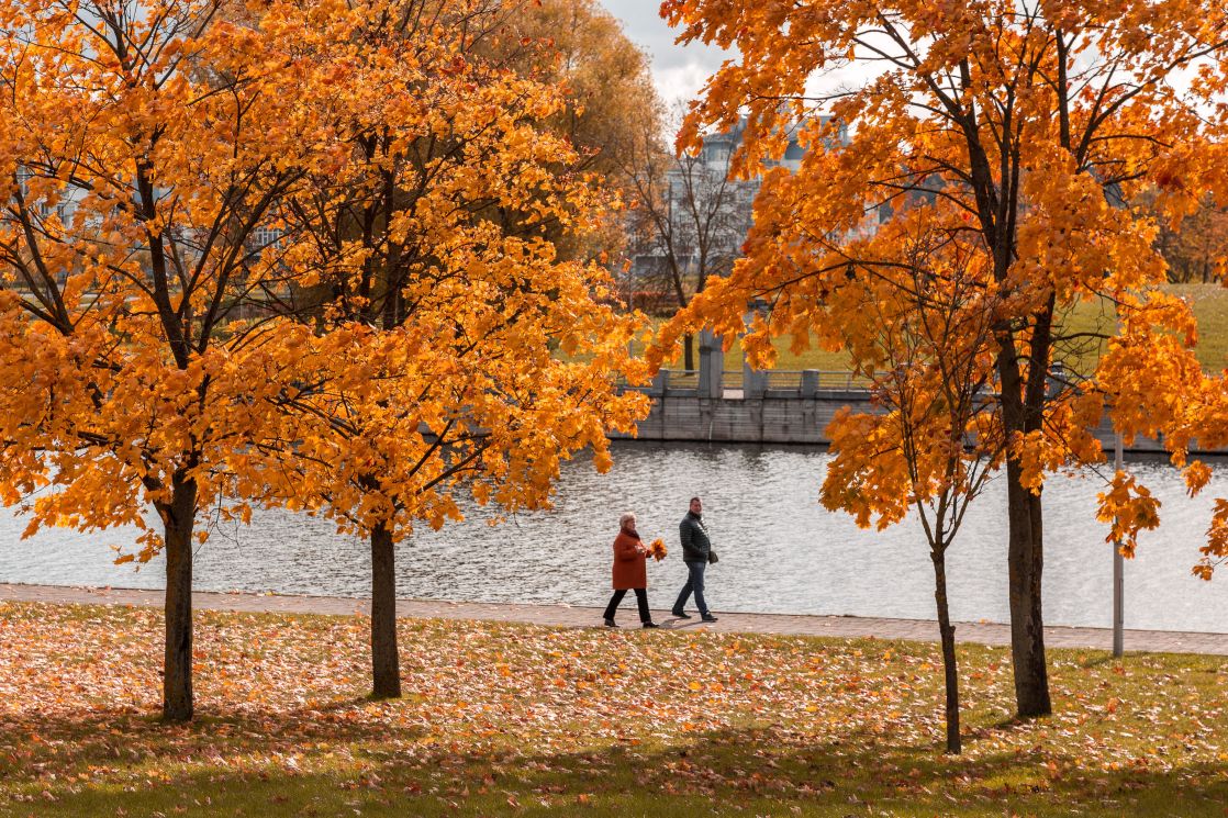 image of park during fall