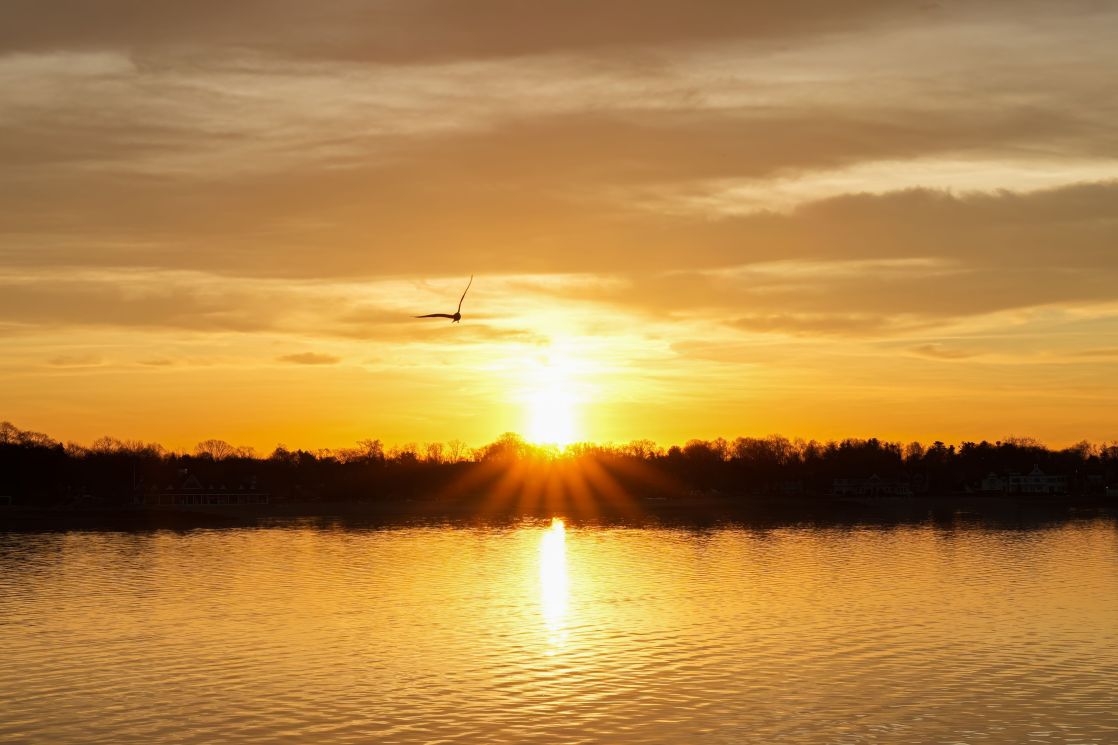 A serene sunset scene with a bird flying over a calm lake reflecting golden hues.