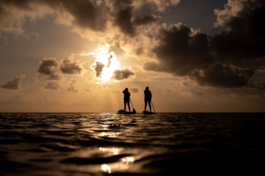Silhouettes of paddleboarders at sunset over serene waters