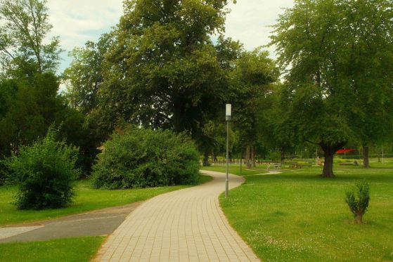 Curved pathway surrounded by green trees and grass in a peaceful summer park