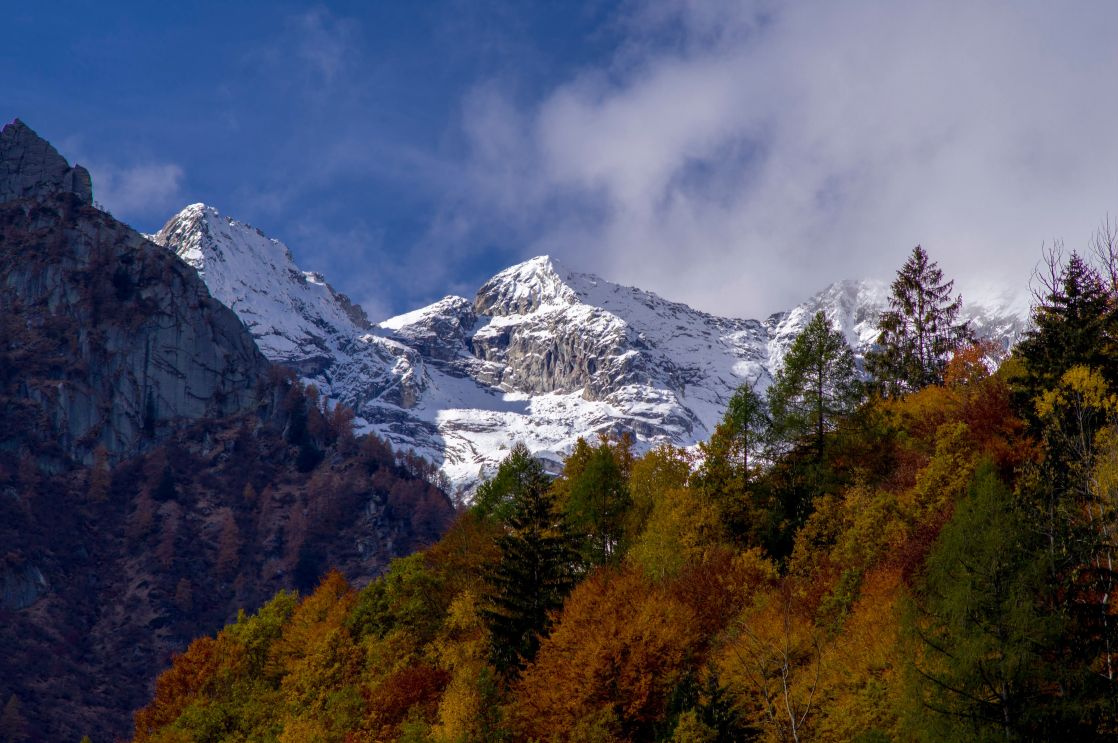 Breathtaking view of snow-covered mountains surrounded by vibrant autumn foliage.