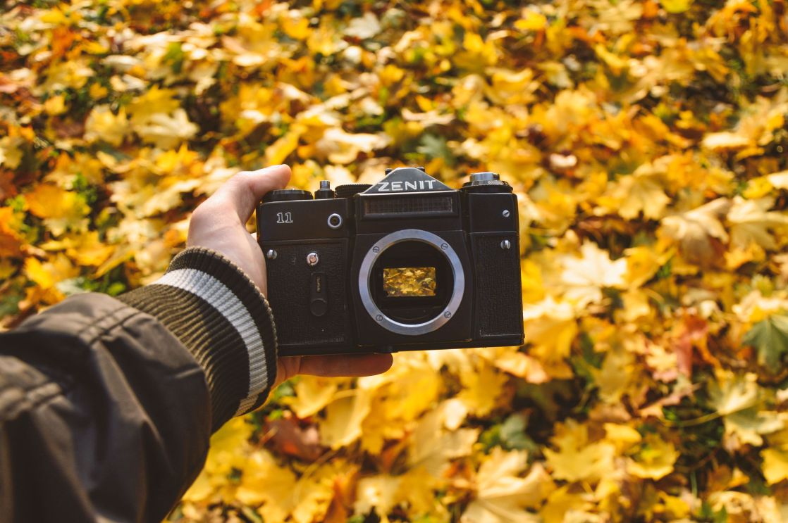 A person holds a vintage camera above a vibrant bed of autumn leaves, creating a seasonal photography scene.