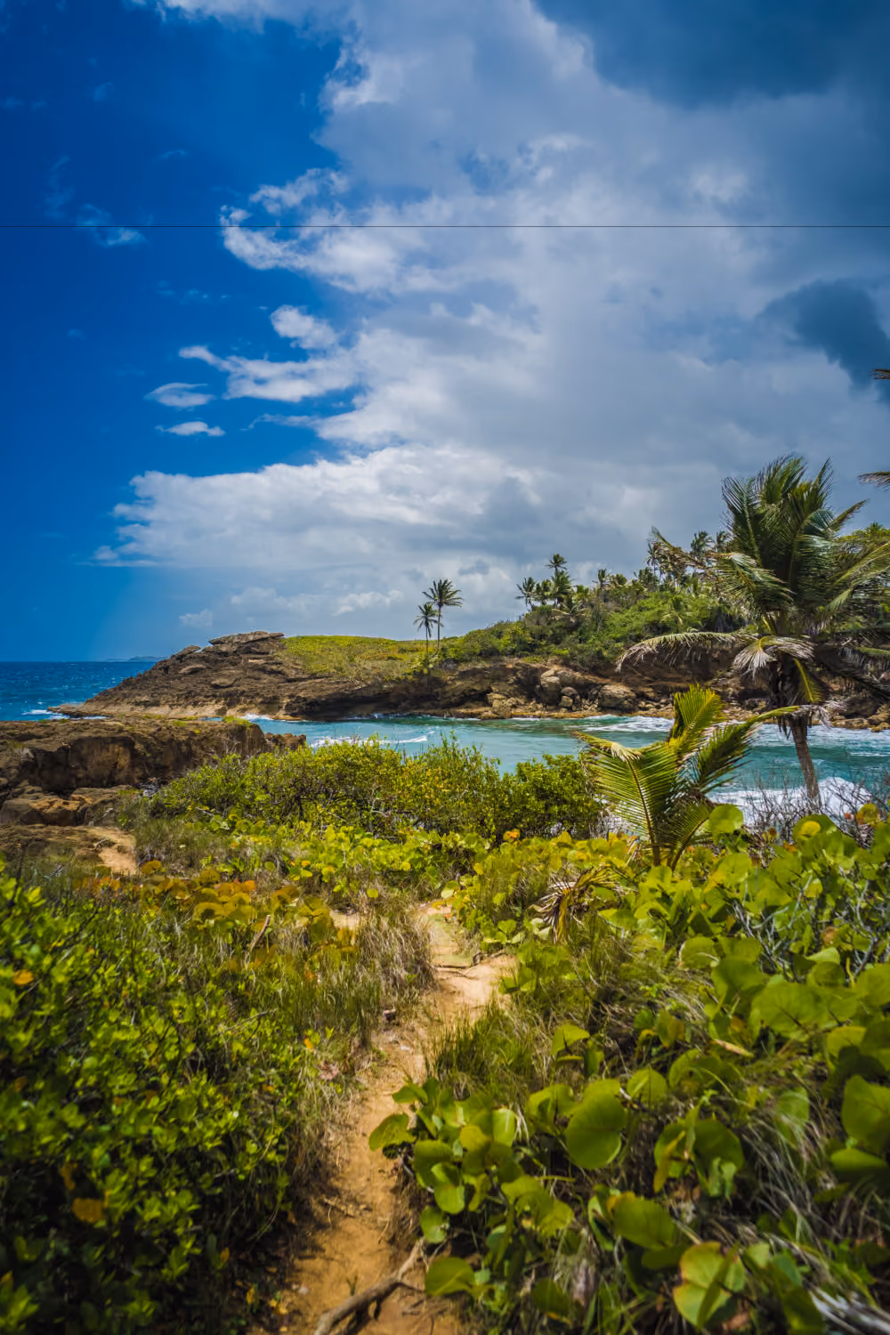 Portfolio Image