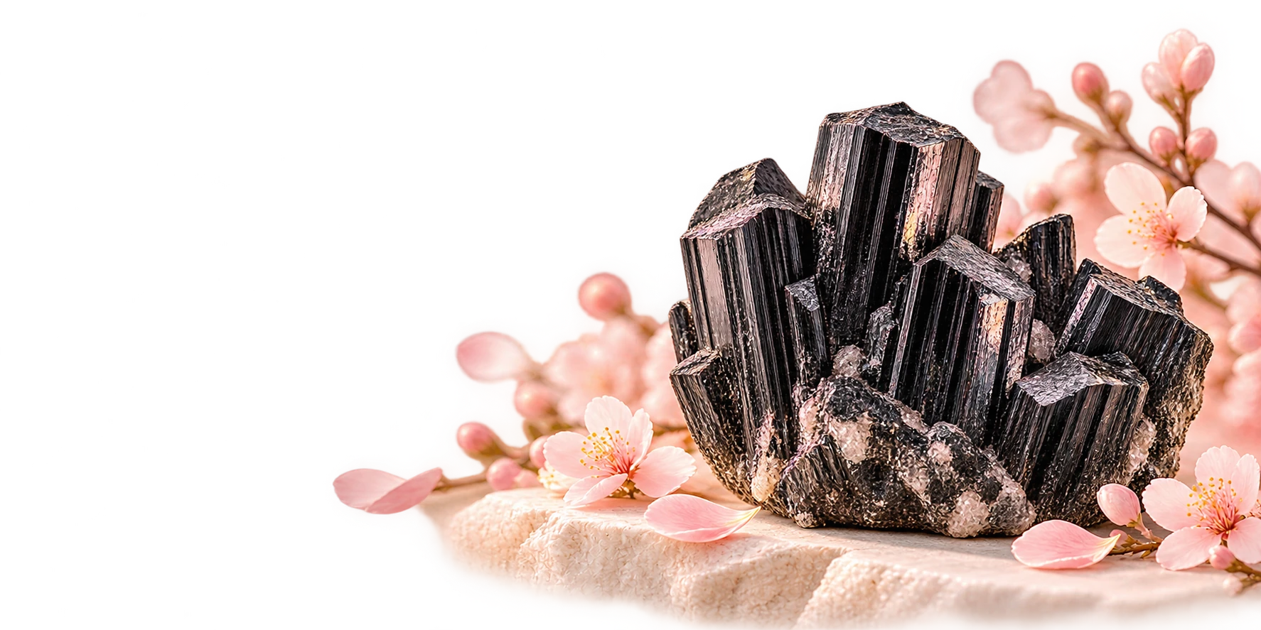 Black Tourmaline — boundaries & self-respect. Illustrative crystal artwork.