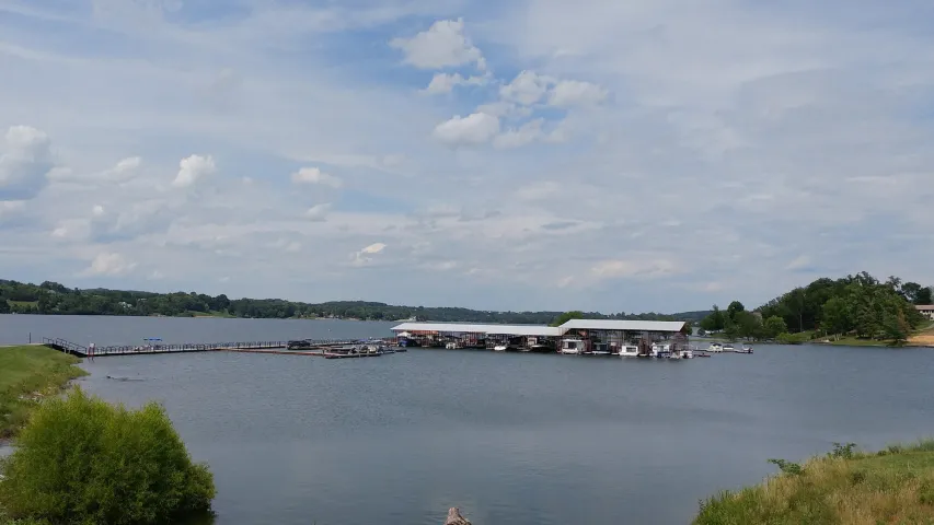 Wellness Image