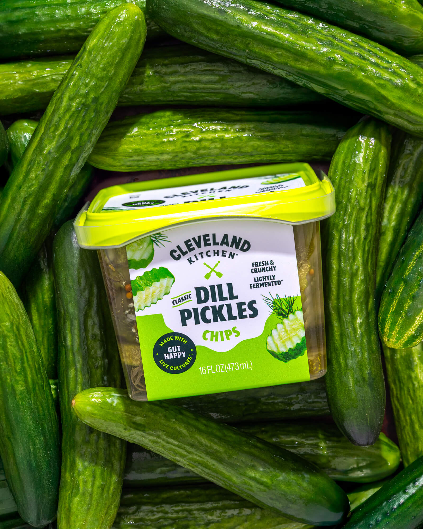 Classic Dill Pickle Chips